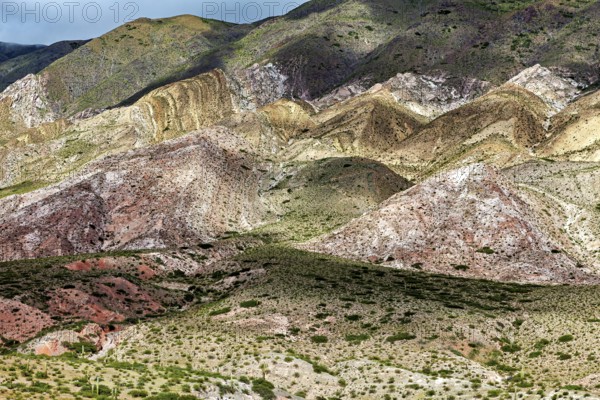 A fascinating view of mountains with diverse colors and lush vegetation, the landscape and colorful