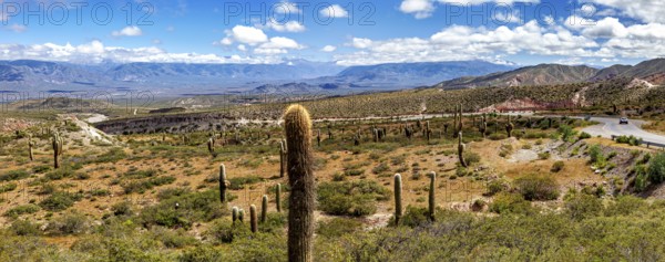 Vast desert landscape with cacti and mountains under a cloudy sky, The landscape of the Quebrada