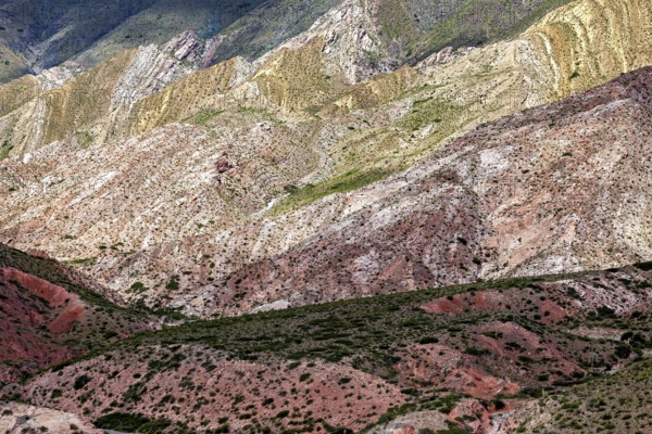 Mountains with diverse colors and natural patterns rise from the vegetation, the landscape and