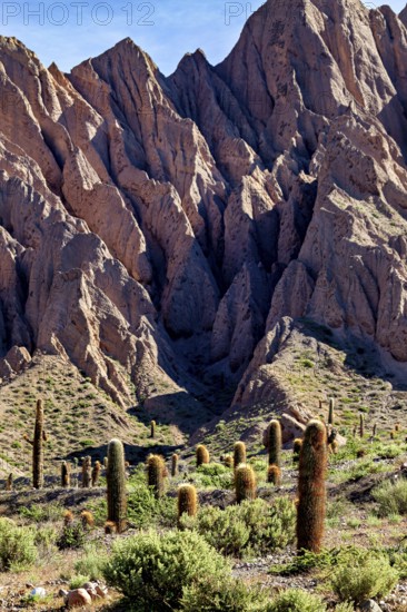 Landscape with steep rocks and cacti in a dry, sunny desert environment, The landscape of the