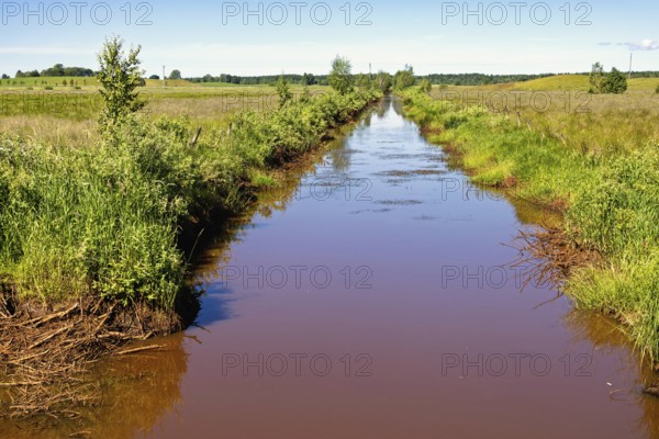 Straight narrow water channel running through a grassy rural field bordered by tall lush green