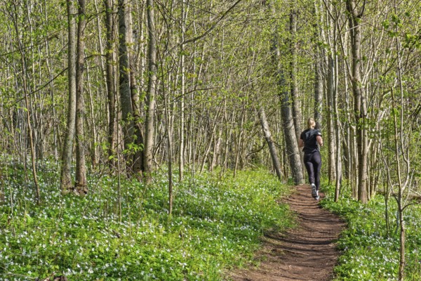 Peaceful forest scene with a young woman jogging along a path surrounded by fresh spring greenery