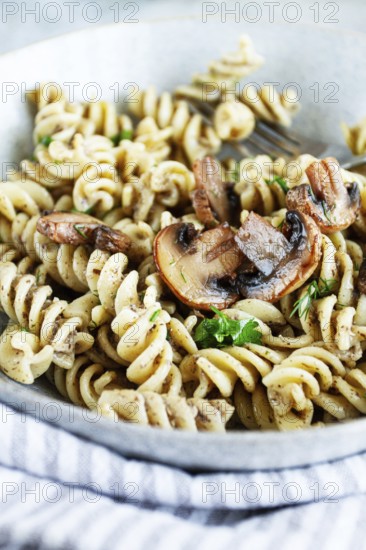 Fusilli pasta, in creamy mushroom sauce, pasta with mushrooms, homemade, no people