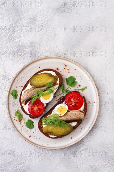 Sandwiches on rye bread, with sprats, quail eggs, fresh tomatoes and pickled cucumber, appetizer,
