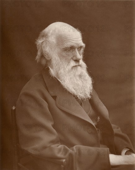 Charles Robert Darwin (12 February 1809 in Shrewsbury - 19 April 1882) . British natural scientist.