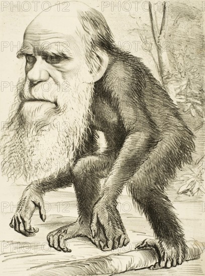 Charles Robert Darwin (12 February 1809 in Shrewsbury - 19 April 1882) . British natural scientist.