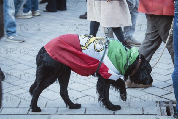 A dog wrapped in a flag of Iran during the Pahlavi period during the demonstration by exiled