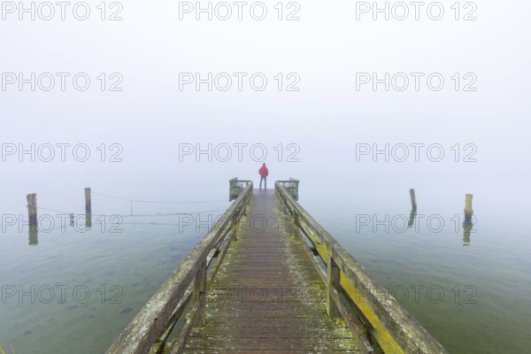 Lonely man staring in the mist over Lake Ratzeburg, Ratzeburger See from wooden jetty, Lauenburg