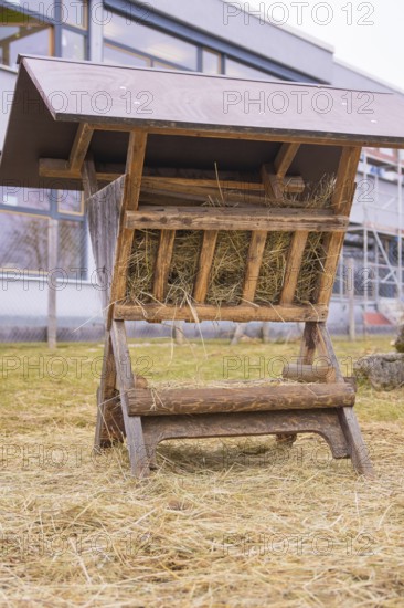 Wooden hay rack stands in a meadow with some haystalks, Schlehengäu Grund Schule Gechingen, Calw