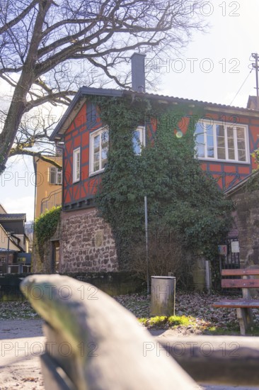 Cosy half-timbered house with ivy surrounded by trees on a sunny day, Calw, Calw district, Germany