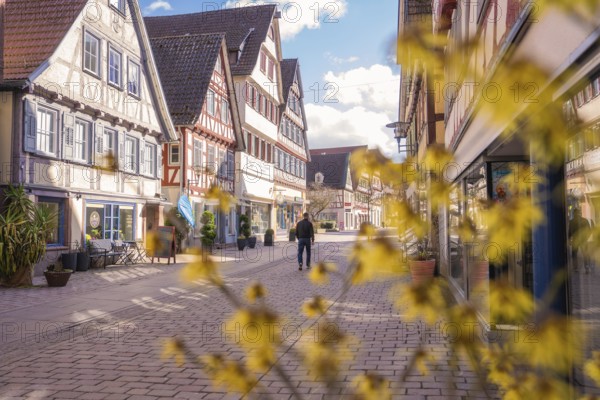 Man walks through a quiet street with traditional half-timbered houses and flowery foreground,