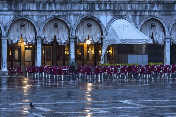 Historic Caffé Florian early in the morning, empty St. Mark's Square when it rains, Venice, Veneto,
