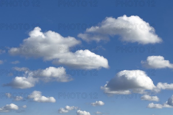 Classic low clouds cluster clouds typical cumulus with a clear lower limit on blue sky,