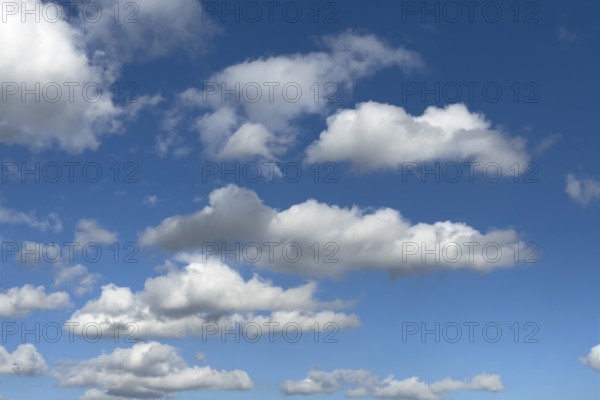 In the upper half of the image, medium-height white clouds Cumulus fractus torn ragged cluster