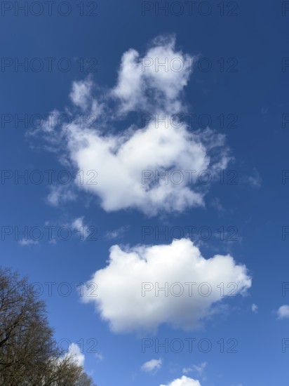 Medium-high white clouds Cumulus fractus torn ragged cluster clouds without a sharp lower limit on