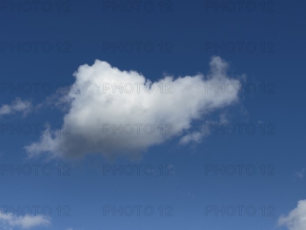 Single white cloud Cumulus fractus torn ragged cluster cloud without sharp lower limit on blue sky,