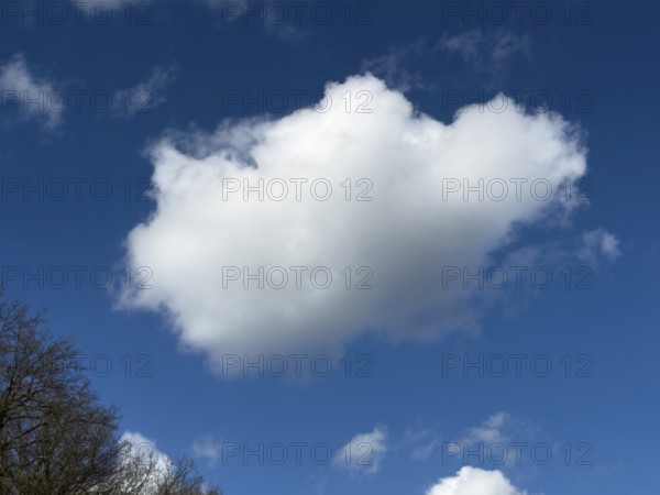 Medium-high white cloud Cumulus fractus torn ragged cluster cloud without sharp lower limit on blue