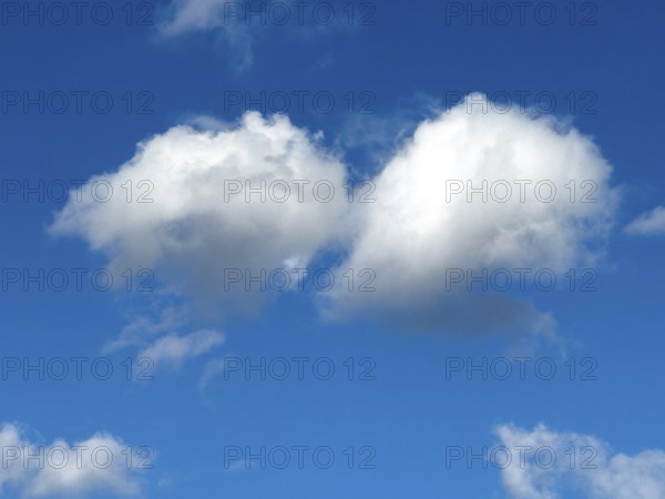 Two medium-high white clouds Cumulus fractus torn ragged cluster clouds without a sharp lower limit