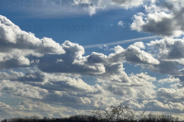 Accumulation of different cumulus clouds, cumulus fractus at the very top, classic cumulus with a