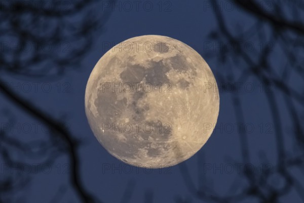 The full moon in March is also called worm moon because it reminds us that the frost is softening