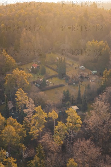 Cabins nestled in a forest displaying vivid autumn colors at Dusk, Aidlingen, Böblingen District,