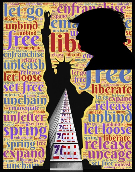 Symbolic image, Statue of Liberty and Trump in customs mania, Trump and Maga movement as a threat