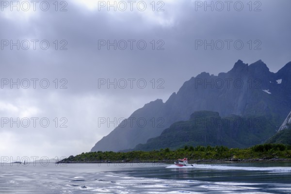 Shipping to the sea eagle colony near Svolvær, Lofoten, Nordland, Norway
