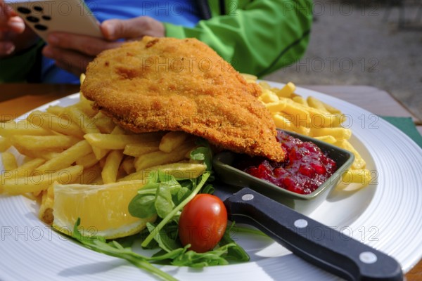 Wiener Schnitzel mit Pommes, Food, Klosterwirt, Höglwörth, Höglwörther See, Rupertiwinkl, Upper
