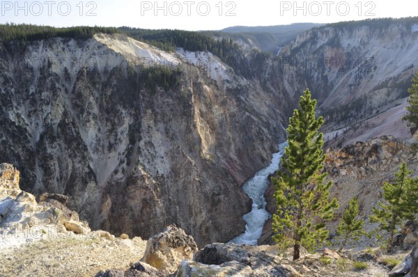 Deep, wooded gorge with a flowing river between steep, rocky cliffs, Grand Canyon of the