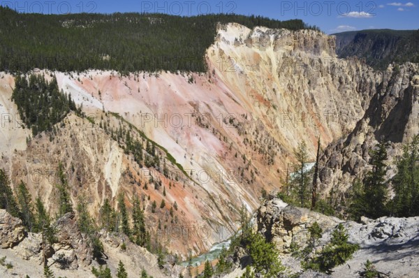 An impressive colorful canyon with rugged rocks crossed by a wooded plain, Grand Canyon of the
