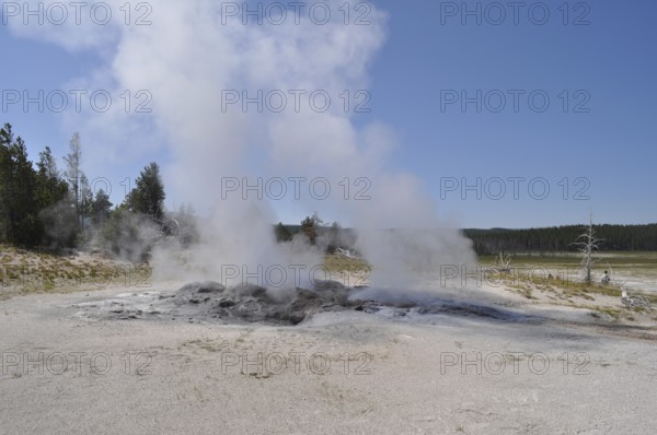 Geyser expels steam into the air and shows geothermal activity in natural environments, Yellowstone
