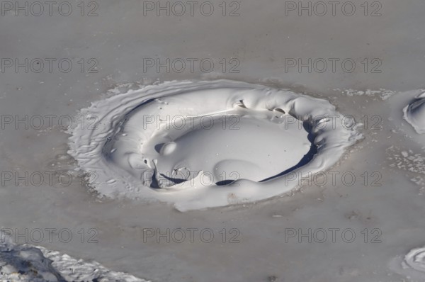 Close-up of gray mud pot with rising bubbles and geothermal features, Yellowstone National Park,