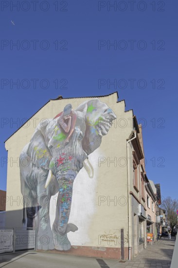 Mural elephant with jack on back by CASE maClaim 2016, elephant figure, street art, graffiti,