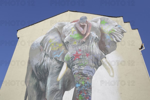 Mural elephant with jack on back by CASE maClaim 2016, elephant figure, street art, graffiti, Bad