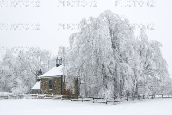 Fischbach chapel, winter, High Fens, Hautes Fagnes, Ardennes, Belgium