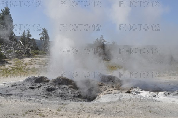 Steaming fumaroles escape from the soil at a geothermal location with light vegetation, Yellowstone