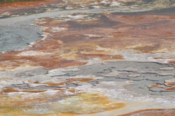 Colourful volcanic mineral area with diverse shades of color and water accumulation, Yellowstone