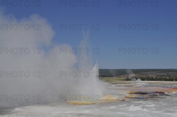 A geyser blows steam into the air surrounded by a vast yellow landscape and blue sky, Yellowstone