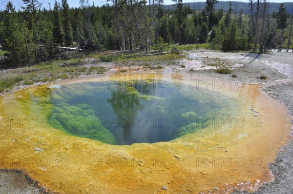 A hot spring, Morning Glory Pool, in a wooded area showing brilliant green and orange stains in the