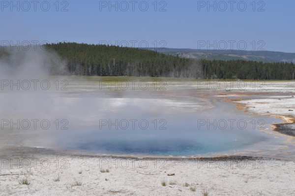 A steaming hot spring in a flat landscape with surrounding forests, Yellowstone National Park,