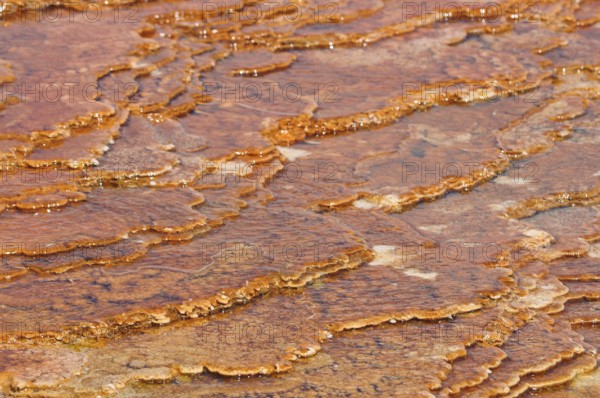 Brown-orange volcanic deposits with terrace structure in water and natural texture, Yellowstone