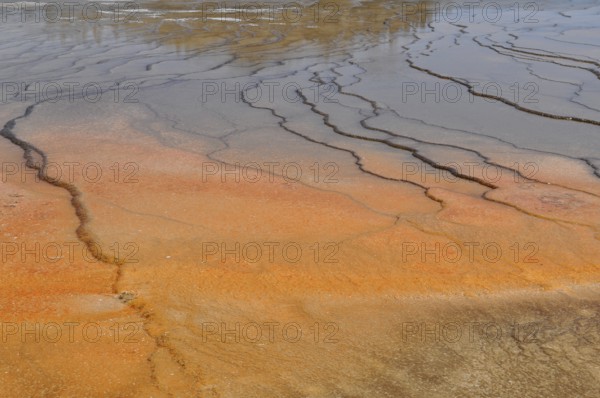 Earth-colored mineral deposits form unique natural patterns in a geothermal spring, Yellowstone