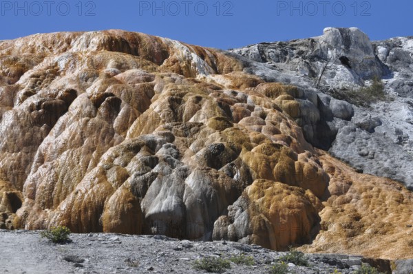Colorful mineral formations with orange deposits in a hot spring, Yellowstone National Park,