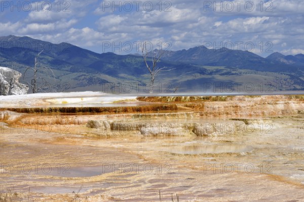 Wide views of hot springs with mountains in the background under cloudy sky, Yellowstone National
