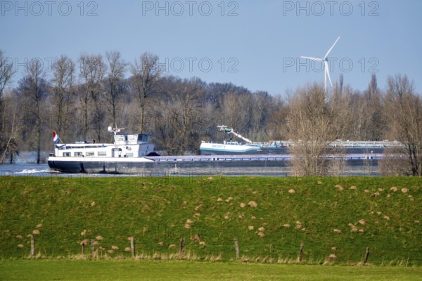 Floods on the Rhine, Lower Rhine near Xanten, height of Bislicher Insel, water level at just under