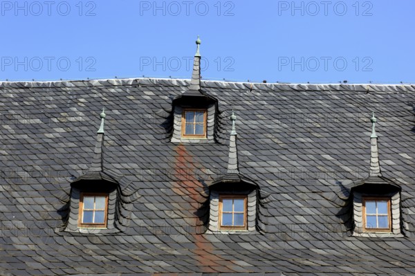 Roof detail, Ehemaliges Rittergut Schloss Kochberg near Großkochberg, Rudolstadt,