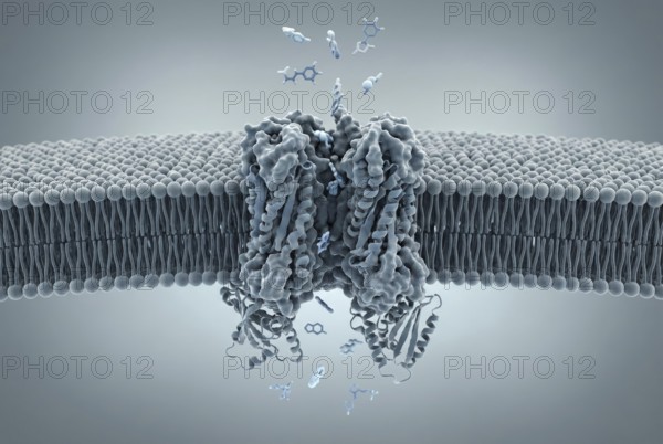 Molecular close-up of a bacterium's cell membrane showing an active efflux pump protein that pumps
