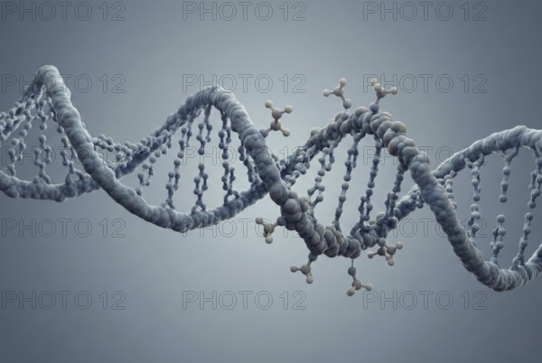 Microscopic molecular visualisation of DNA methylation: small chemical methyl groups attach