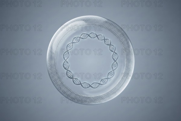 Conceptual microscopic visualization of a synthetic minimal cell: A bacterium created in a