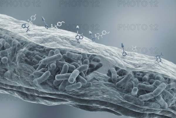 Microscopic view of a dense, impenetrable biofilm (extracellular polymeric substance) that protects